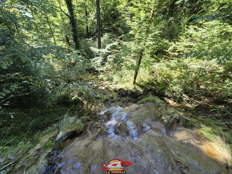 Passerelle 1, inférieure. La vue vers le bas depuis la passerelle 1.