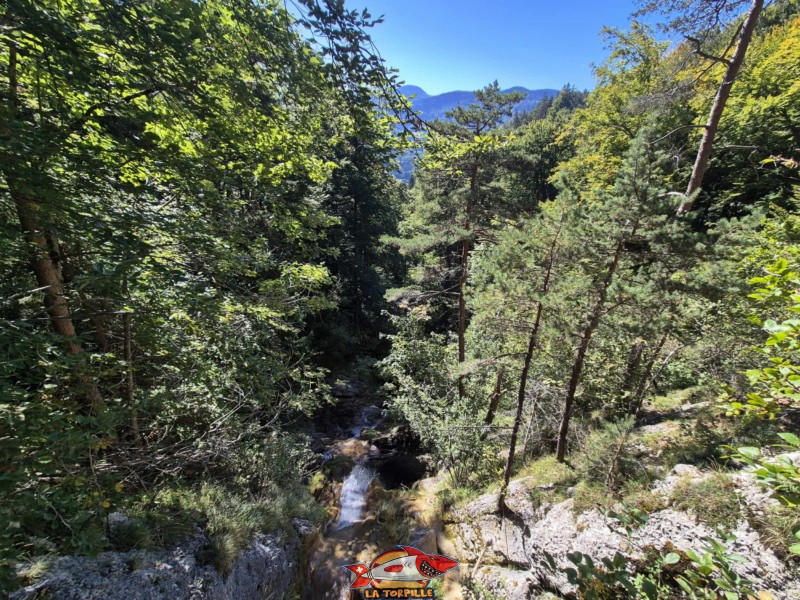Passerelle 2. La vue direction aval.