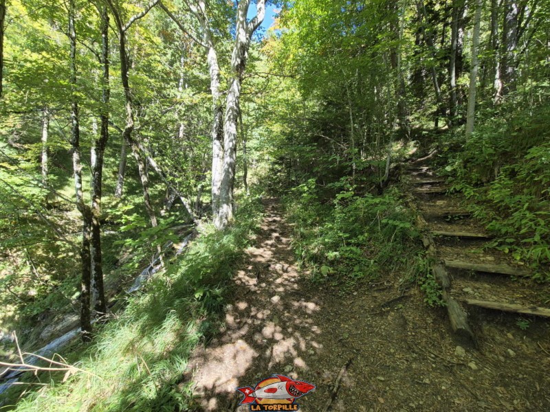  Montée supérieure, sentier du Gore Virat.