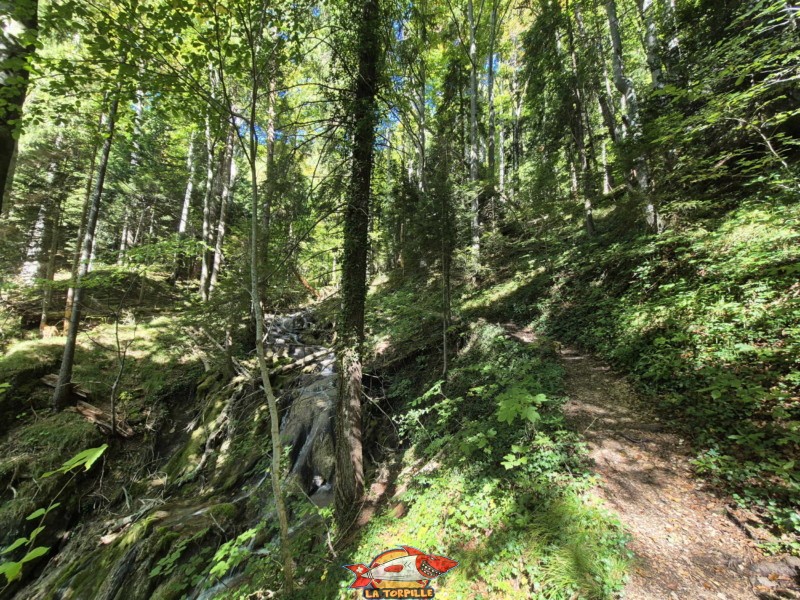  Montée supérieure, sentier du Gore Virat.