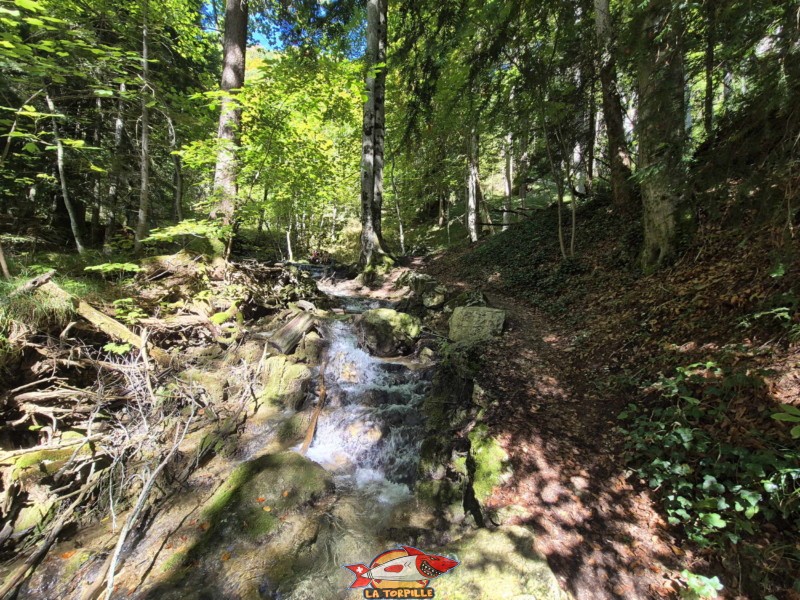  Montée supérieure, sentier du Gore Virat.