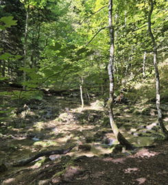 💧 Chutes du Gore Virat – Corcelles BE