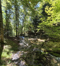 💧 Chutes du Gore Virat – Corcelles BE