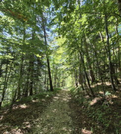 💧 Chutes du Gore Virat – Corcelles BE