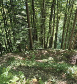 💧 Chutes du Gore Virat – Corcelles BE