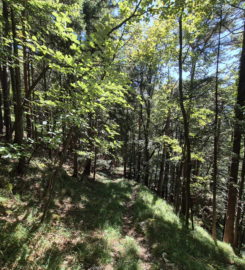 💧 Chutes du Gore Virat – Corcelles BE