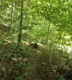 💧 Chutes du Gore Virat – Corcelles BE