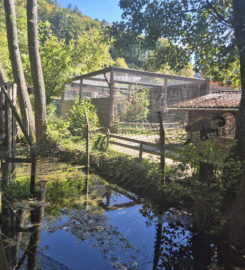 🐅 Zoo Sikypark – Crémines
