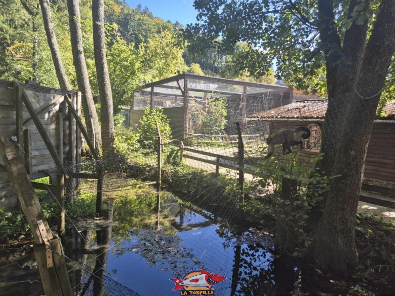 Petits Lacs. Zoo Sikypark, Crémines, Jura bernois.