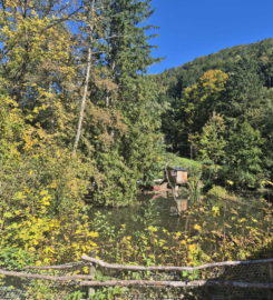 🐅 Zoo Sikypark – Crémines