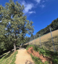 🐅 Zoo Sikypark – Crémines