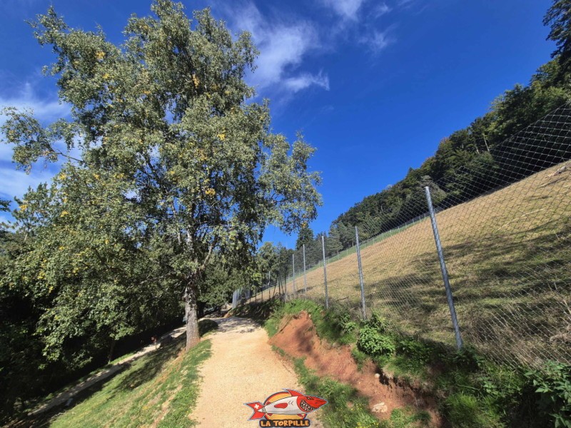 Intérieur du parc. Zoo Sikypark, Crémines, Jura bernois.