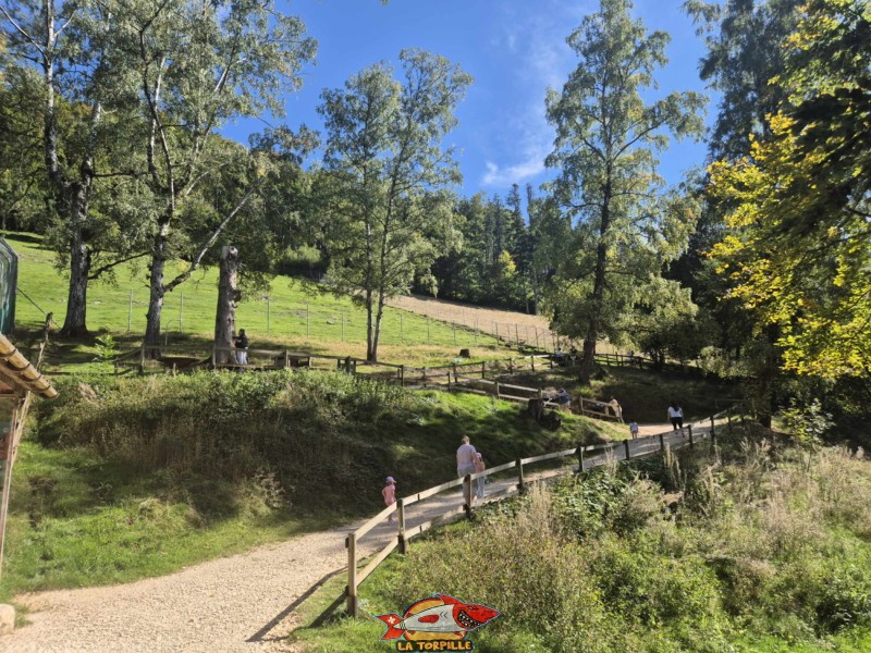 Intérieur du parc. Zoo Sikypark, Crémines, Jura bernois.