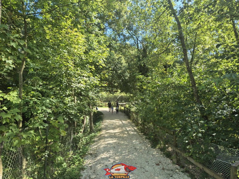 Intérieur du parc. Zoo Sikypark, Crémines, Jura bernois.