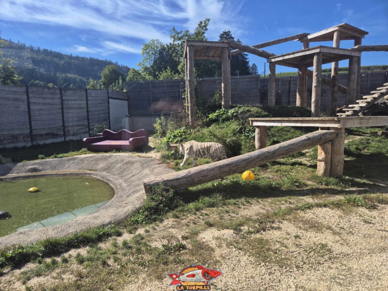 Enclos. Zoo Sikypark, Crémines, Jura bernois.