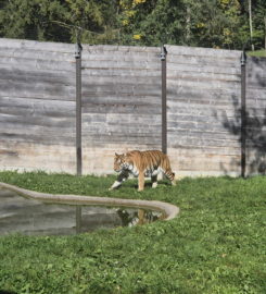 🐅 Zoo Sikypark – Crémines
