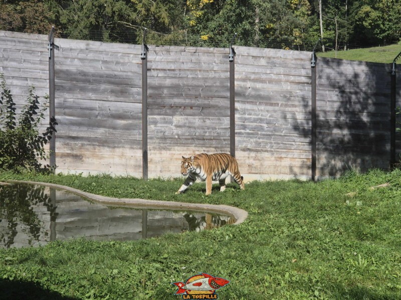 Enclos. Zoo Sikypark, Crémines, Jura bernois.