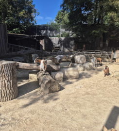 🐅 Zoo Sikypark – Crémines