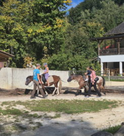 🐅 Zoo Sikypark – Crémines