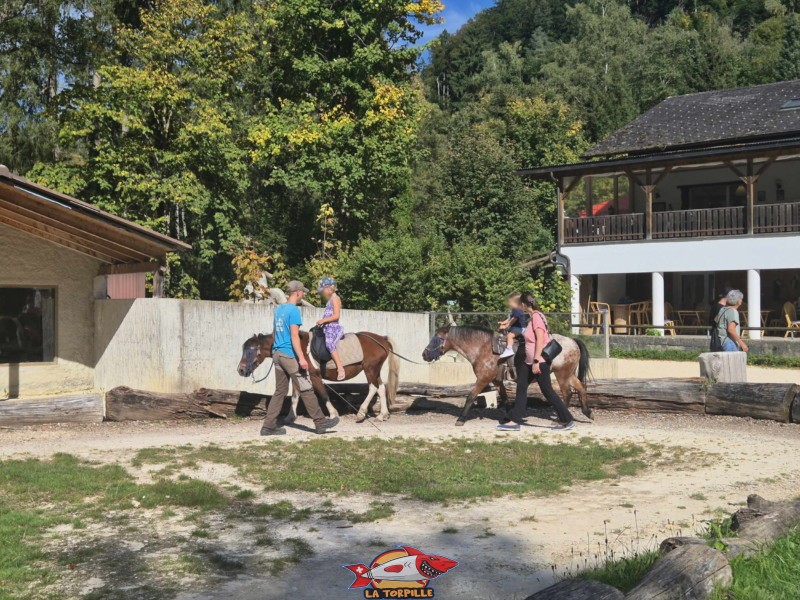 Intérieur du parc. Zoo Sikypark, Crémines, Jura bernois.