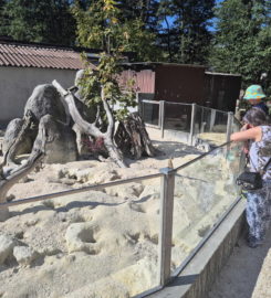 🐅 Zoo Sikypark – Crémines