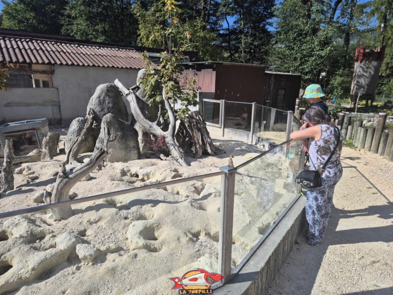 Enclos. Zoo Sikypark, Crémines, Jura bernois.