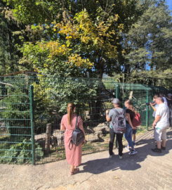 🐅 Zoo Sikypark – Crémines