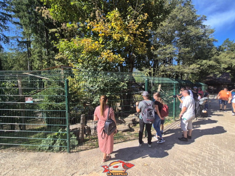 Intérieur du parc. Zoo Sikypark, Crémines, Jura bernois.