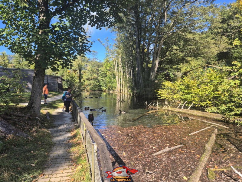 Petits Lacs. Zoo Sikypark, Crémines, Jura bernois.