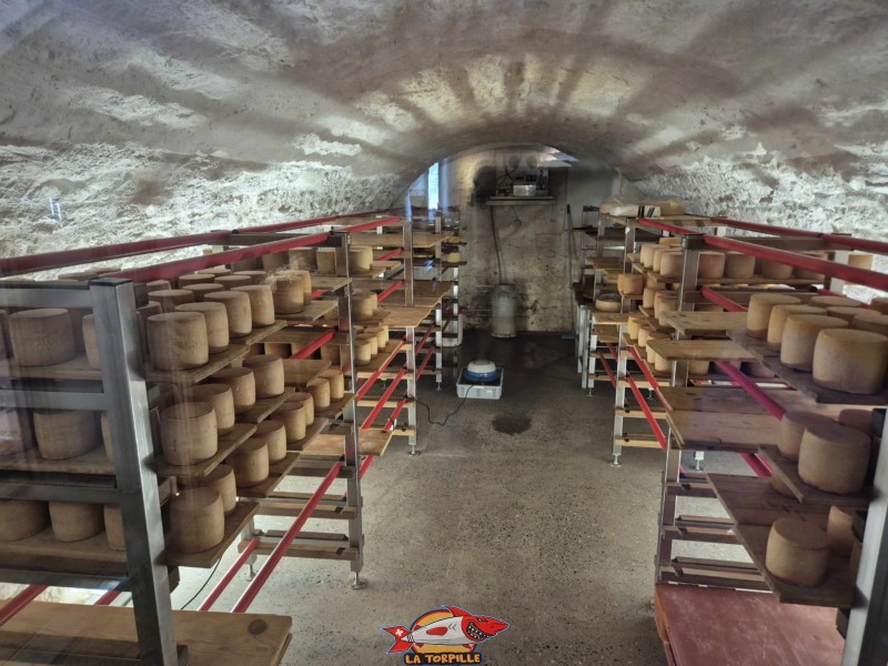 Cave. La Maison de la Tête de Moine, Bellelay, Jura bernois.
