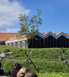 🛤️🚌 Swiss Vapeur Parc – Le Bouveret