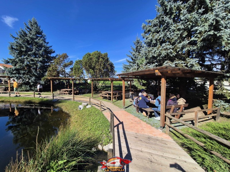 Un grand étang autour duquel on peut pique-niquer. Swiss Vapeur Parc, Le Bouveret, canton du Valais. Trains miniatures.