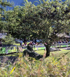 🛤️🚌 Swiss Vapeur Parc – Le Bouveret