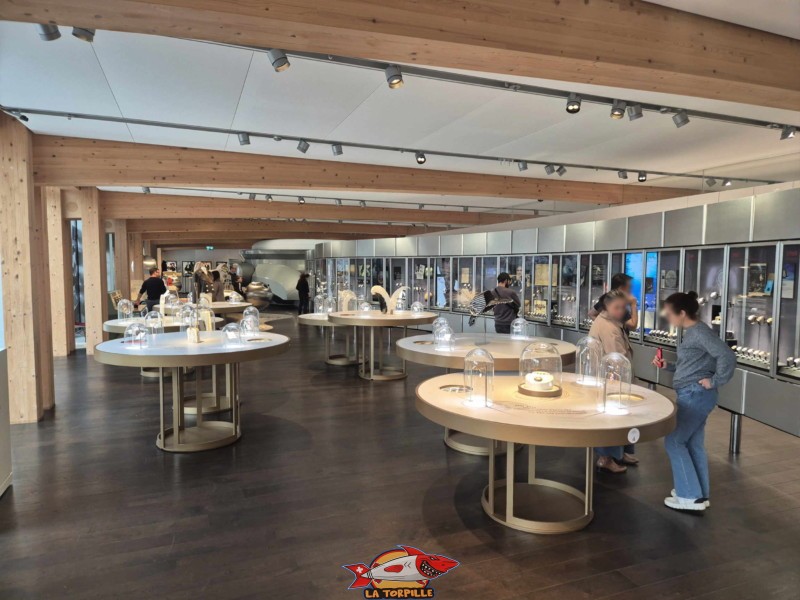 L'art horloger : On y trouve des montres historiques exposées dans une vitrine de 50 mètres de long, illustrant l'évolution du design et de la technologie d'Omega. Omega Museum, Bienne.