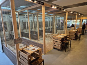 🪓 Axers - Lancer de Hache - Bex 7 20251017 150156 axers bex