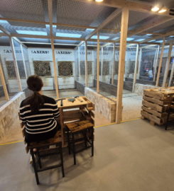 🪓 Axers – Lancer de Hache – Bex