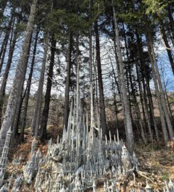 🖐️ Grande Citadelle de Monthoux – Bière