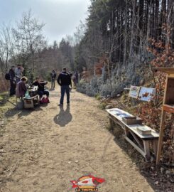 🖐️ Grande Citadelle de Monthoux – Bière