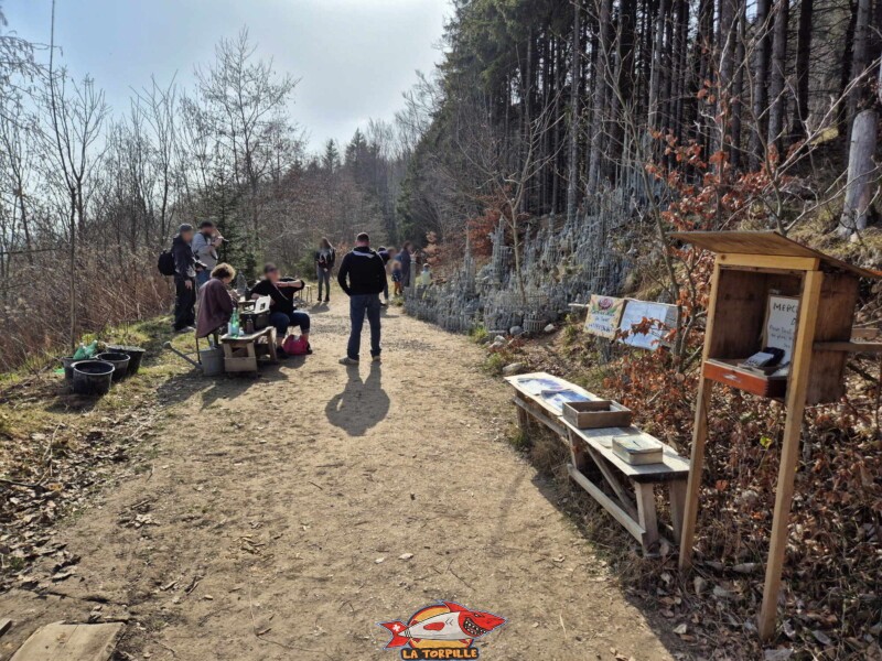 Vue d'ensemble, nord. Grande Citadelle de François Monthoux, Bière.