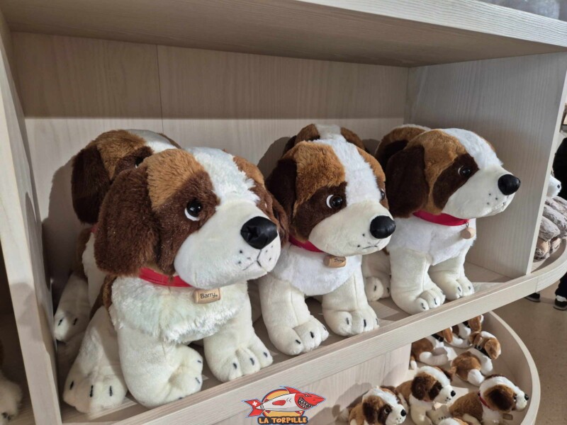 Des peluches des fameux chiots St-Bernard. Barryland
