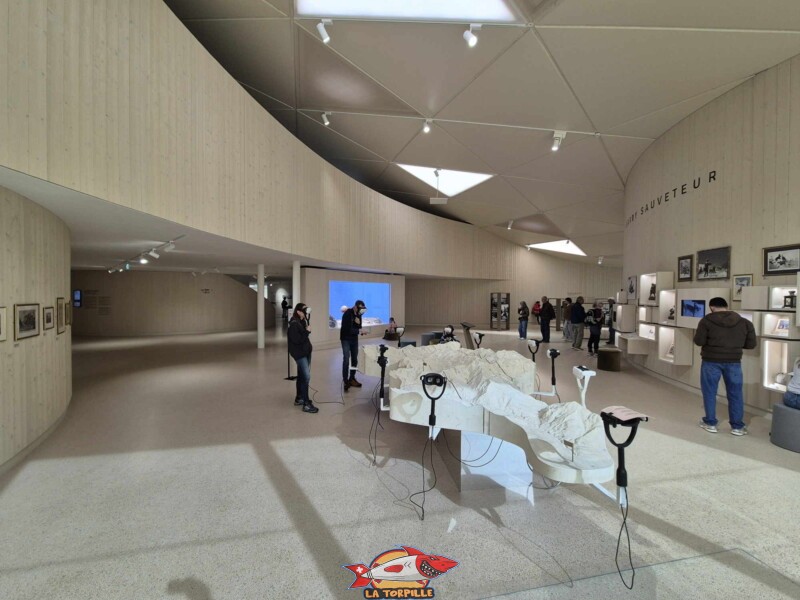 Barry Sauveteur, Barryland, Martigny