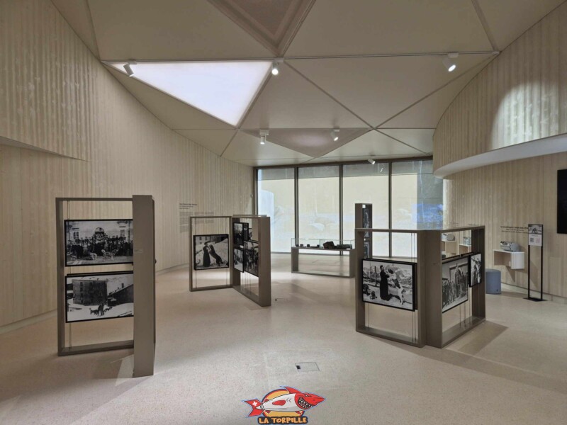 Barry Sauveteur, Barryland, Martigny