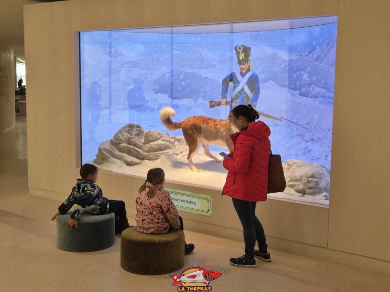 Barry Sauveteur, Barryland, Martigny