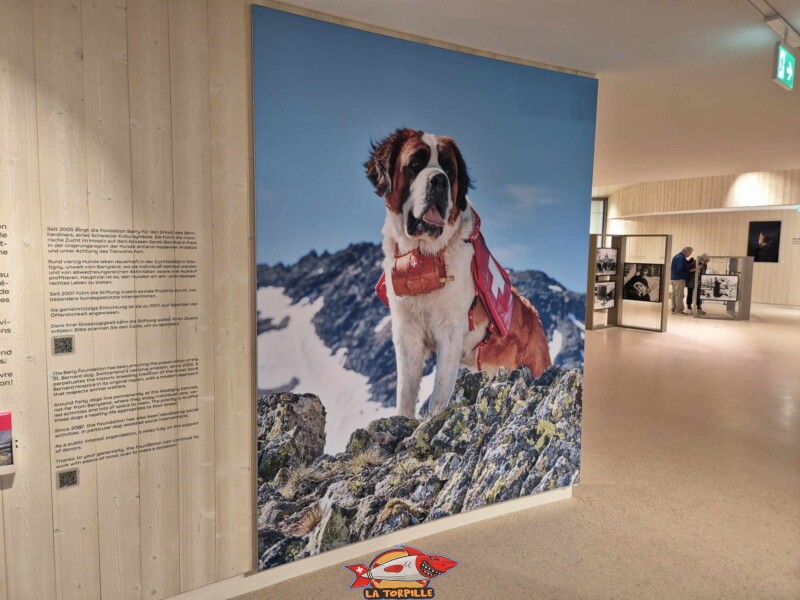 Barry Sauveteur, Barryland, Martigny