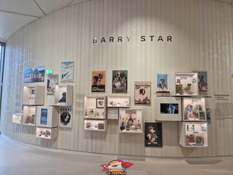 Barry Star, Barryland, Martigny