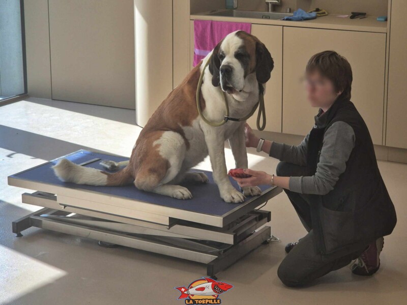 Barry Chéri, Barryland, Martigny