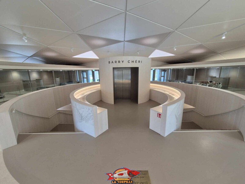 L'escalier au premier étage pour descendre au rez. Barryland, Martigny