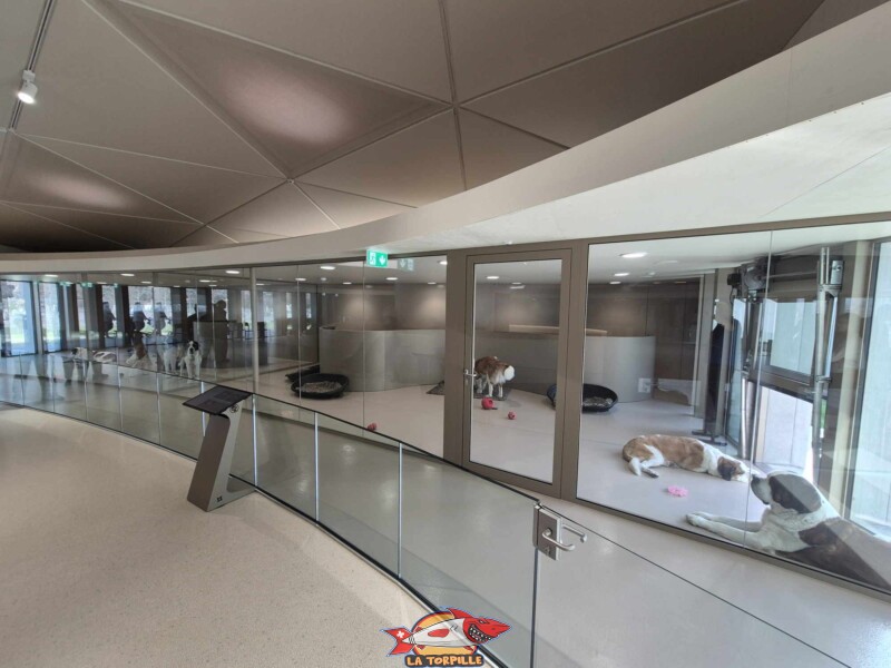 Barry Chéri, Barryland, Martigny