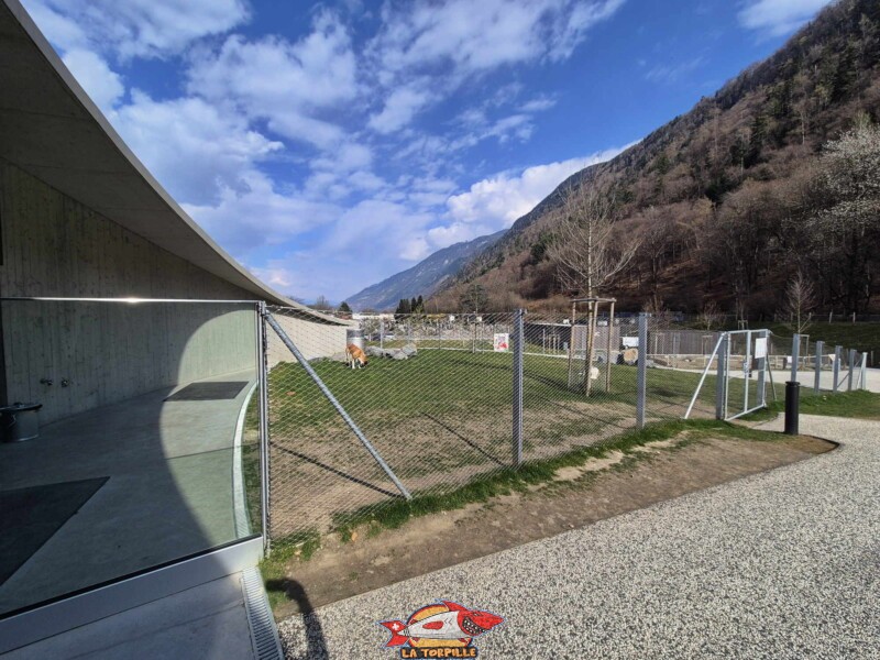 Barry Joueur, Barryland, Martigny