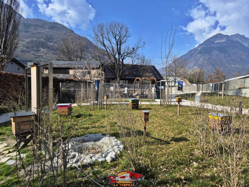 Espaces Extérieur Ouest, BArryland, MArtigny